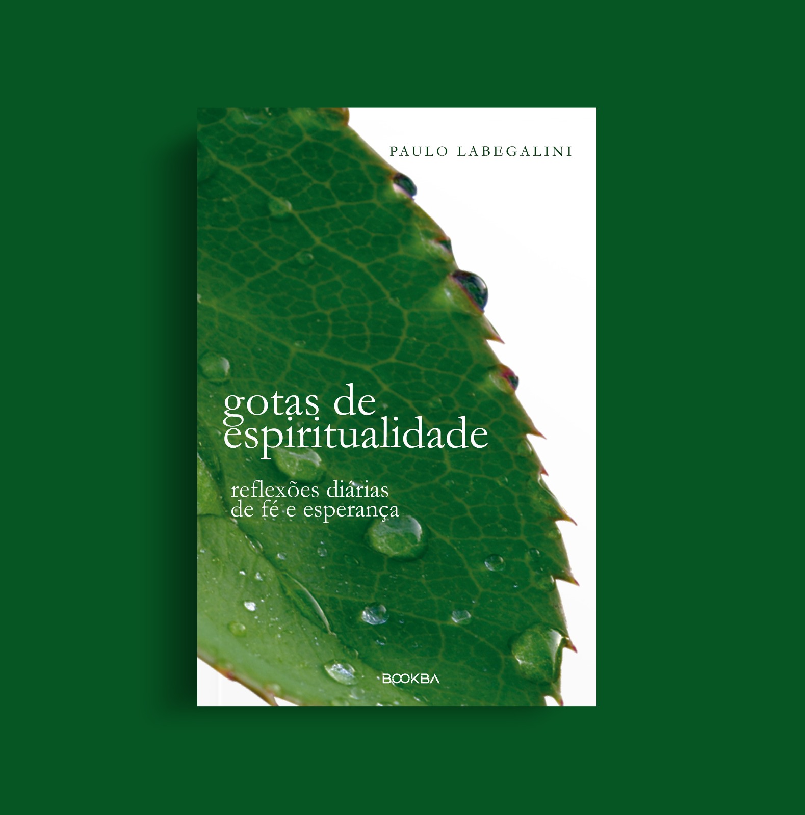 LIVRO livro Gotas de Espiritualidade