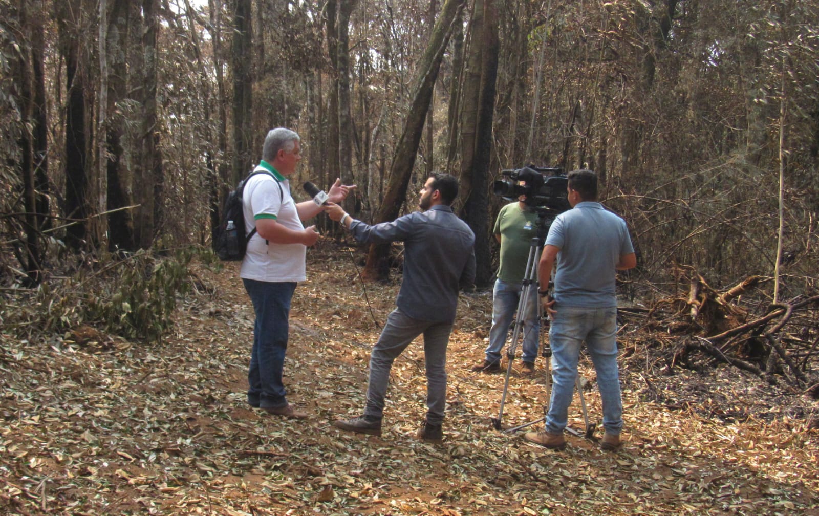 visita à seera do paredão